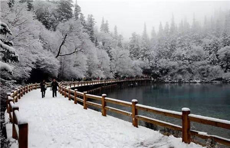 原来河南大雪过后这么美